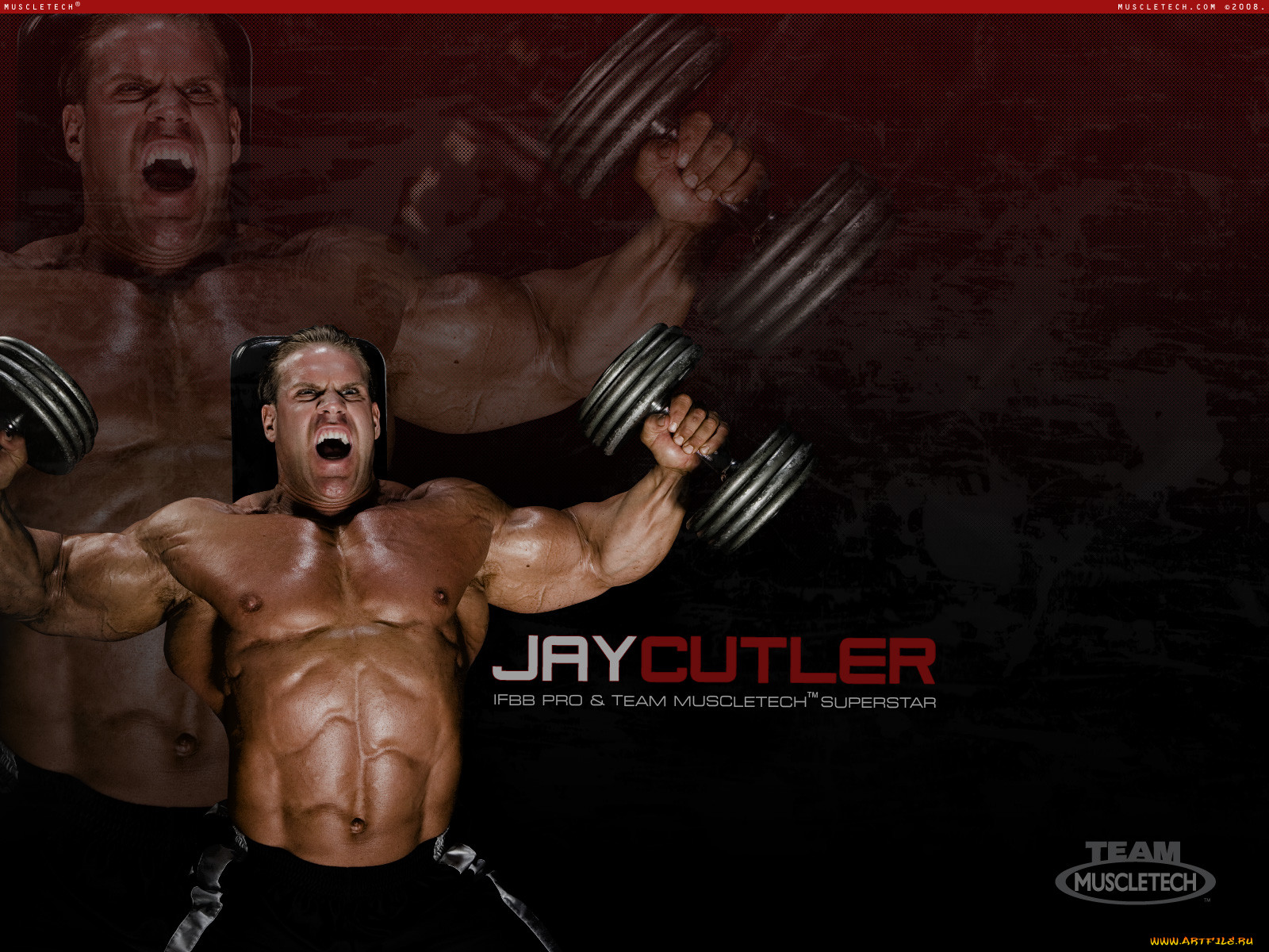 muscletech, , jay, cutler